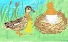 Mother duck+egg